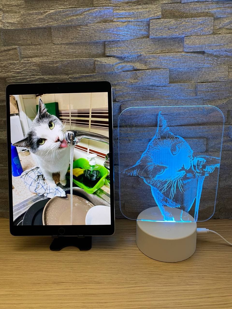 Lampe LED de votre animal : chien, chat, lapin…